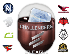 Atlanta 2017 Challengers (Holo-Foil) CS2 sticker capsule to open