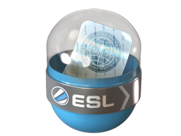 EMS Katowice 2014 Challengers CS2 sticker capsule to open