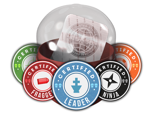 Team Roles Capsule CS2 sticker capsule to open